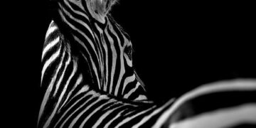 test article blog archives