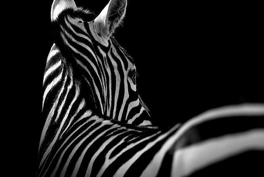 test article blog archives